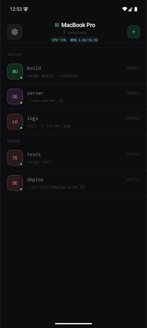 ccmux session list