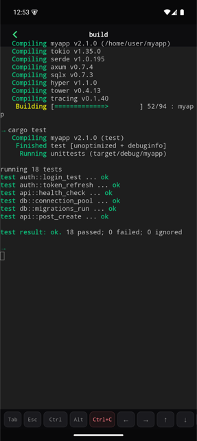 ccmux terminal session